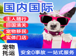 庆阳机场邮寄国际宠物托运 【国
